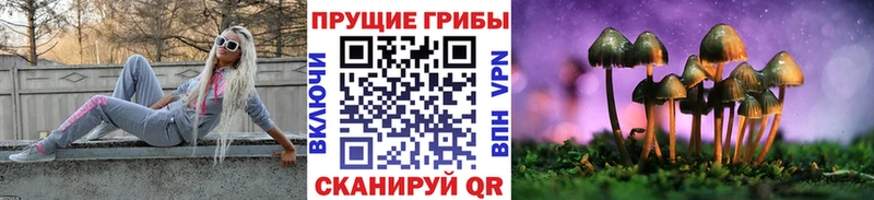 Галлюциногенные грибы Psilocybe  купить  цена  Конаково 